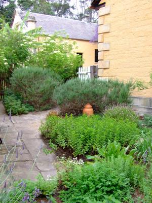 The herb garden at Vaucluse House.