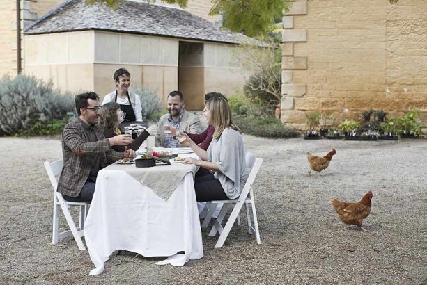 A relaxed lunch in the courtyard at Vaucluse House