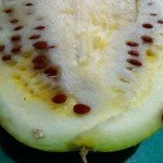 jam melon cut