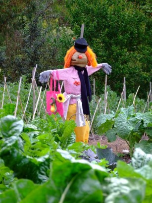 A scarecrow in the kitchen garden