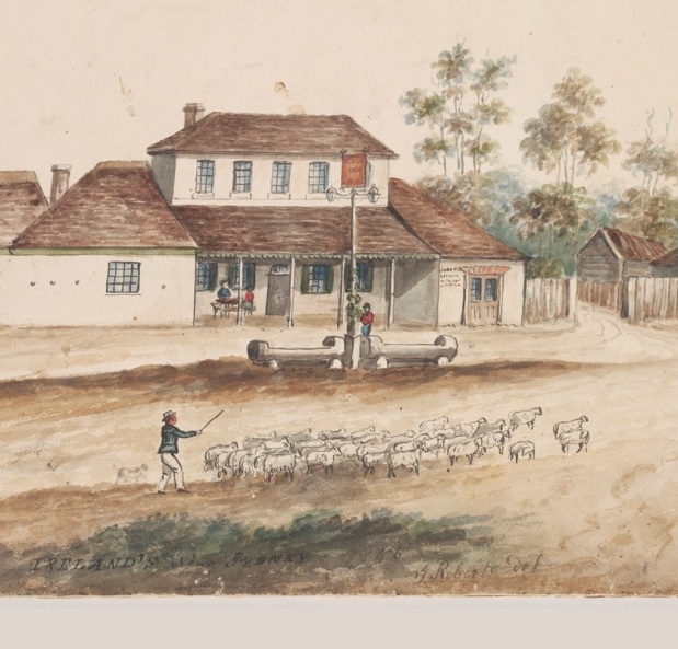 Detail of a view of George Ireland’s coaching Inn, ‘The Plough’ on the Parramatta Rd., showing a flock of sheep being walked.