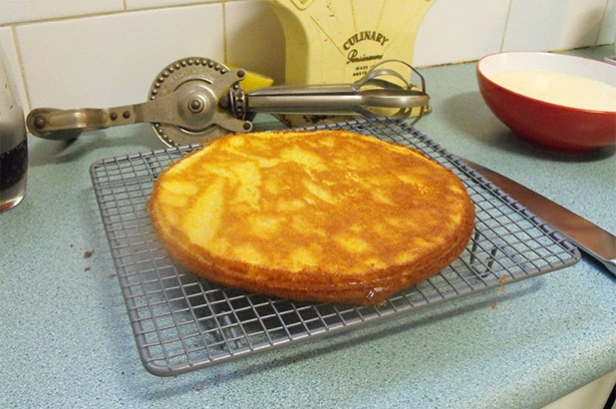 Photograph of a cake that has not risen and resembles a pancake