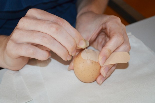 Getting ready to blow an egg for display in the Eat Your History: A Shared Table exhibition
