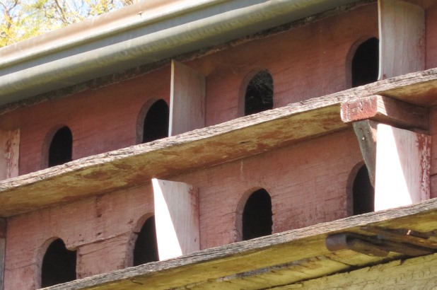 Detail of the pigeon cote at Belgenny