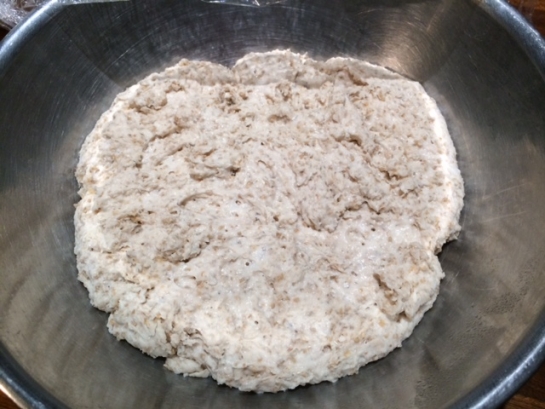 Bread dough, after first proving