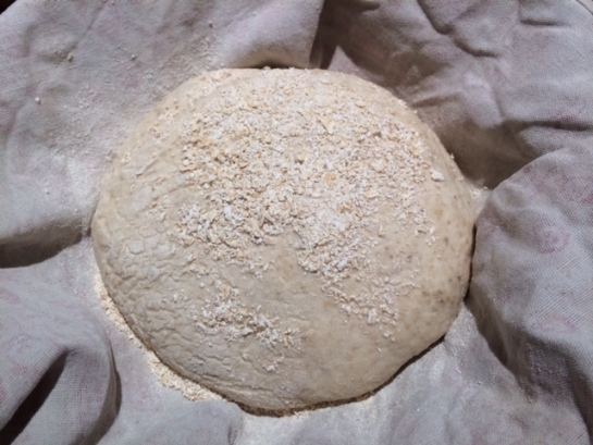 Bread dough