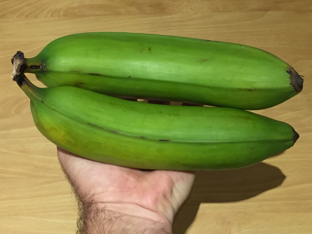 Plantain bananas_Photo © Scott Hill Sydney Living Museums