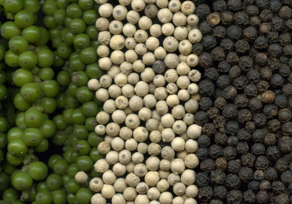 Fresh green, dried white and black peppercorns. photo by Rainer Zenz, Germany, via wikicommons